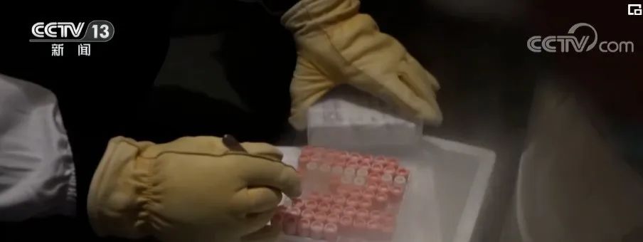 mg不朽情缘(中国区)官方网站