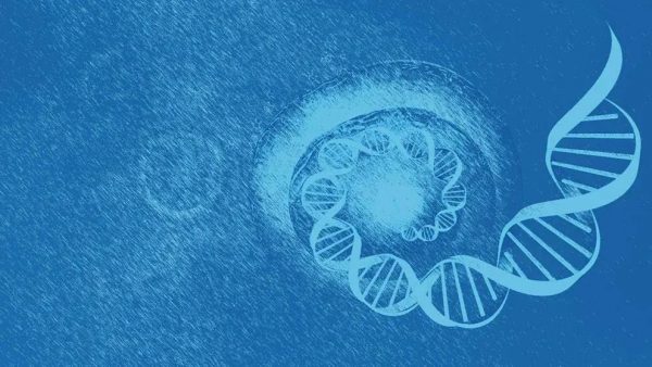 mg不朽情缘(中国区)官方网站