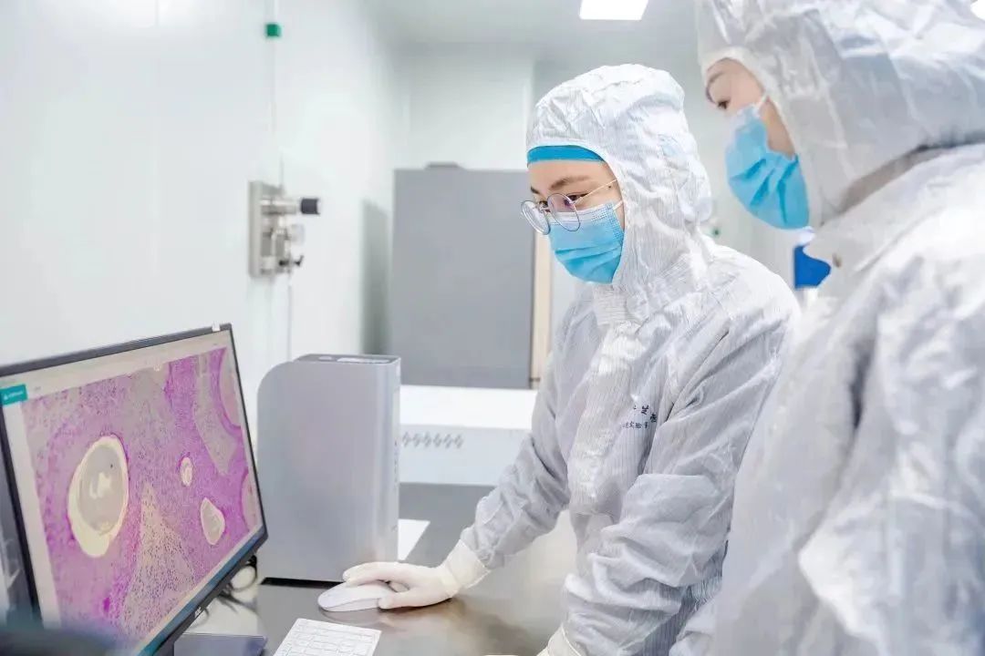 mg不朽情缘(中国区)官方网站