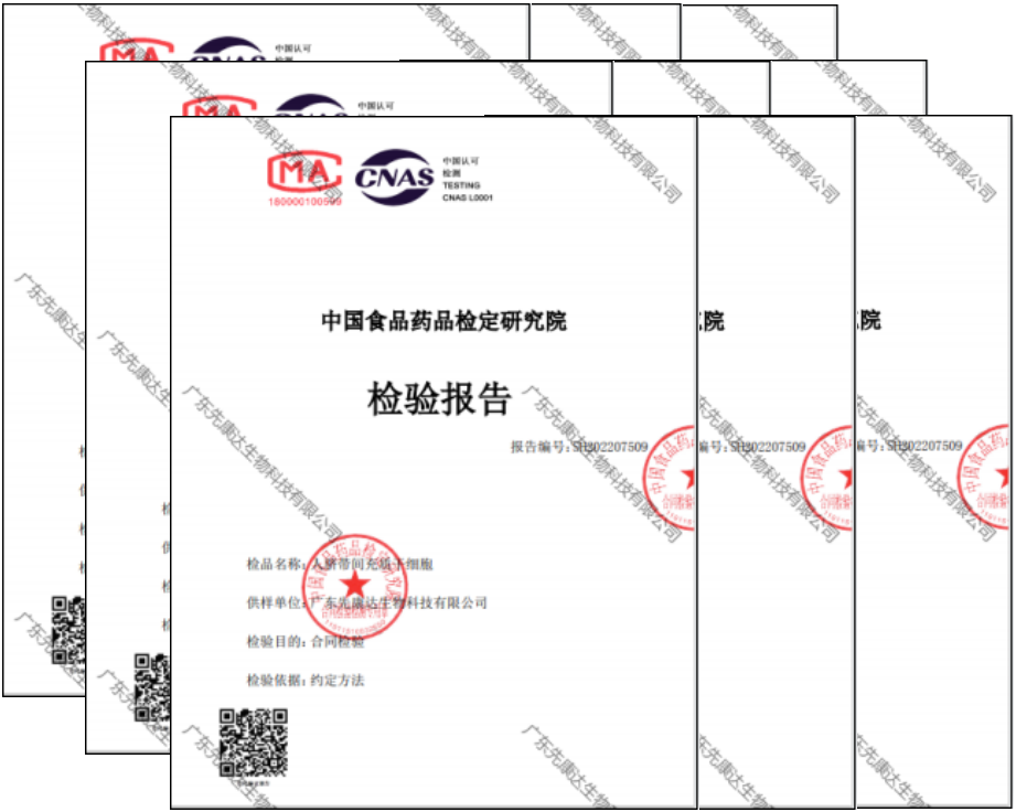 mg不朽情缘(中国区)官方网站