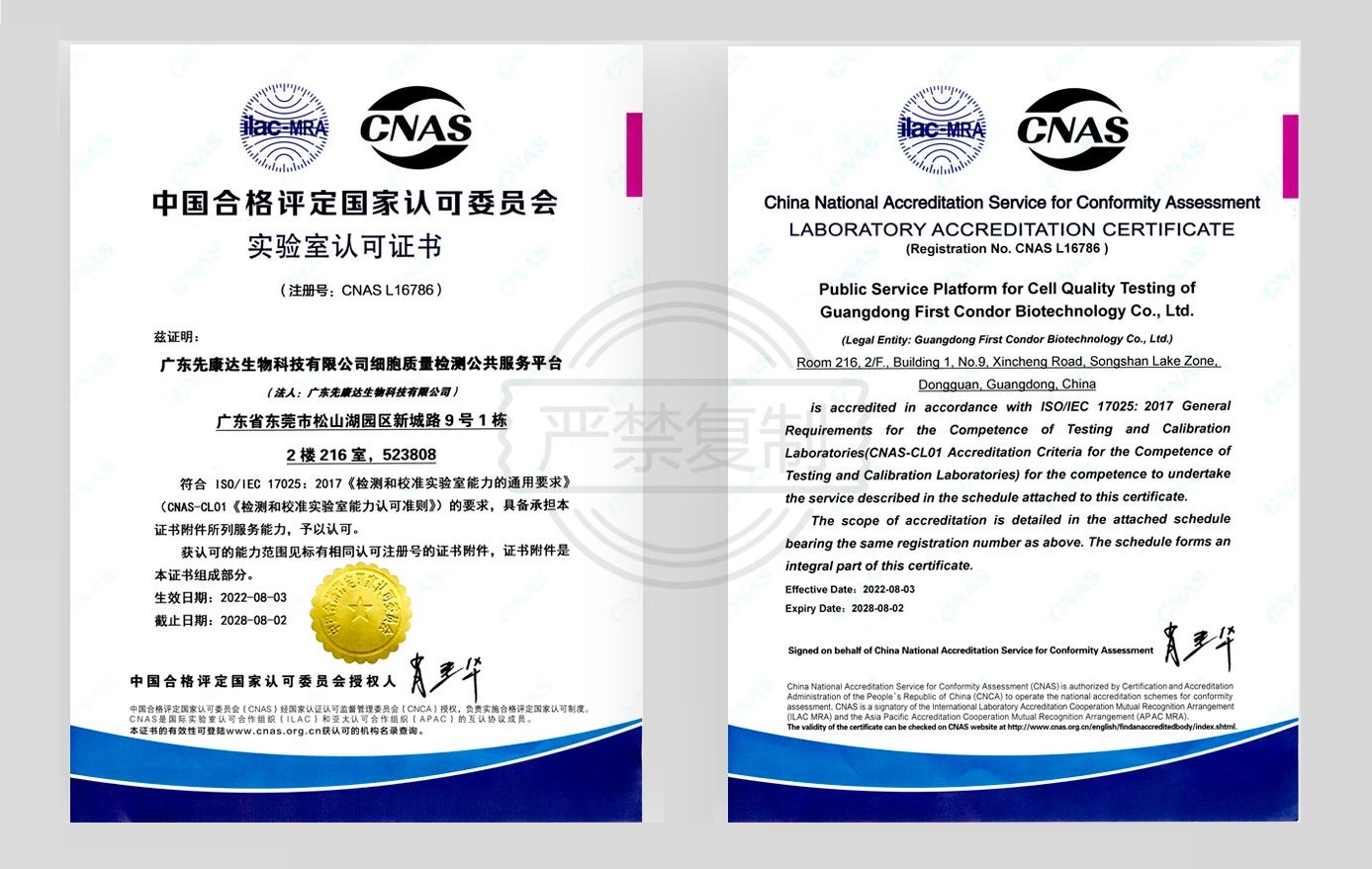 mg不朽情缘(中国区)官方网站