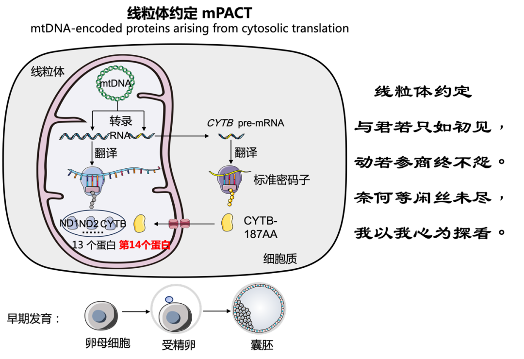 mg不朽情缘(中国区)官方网站