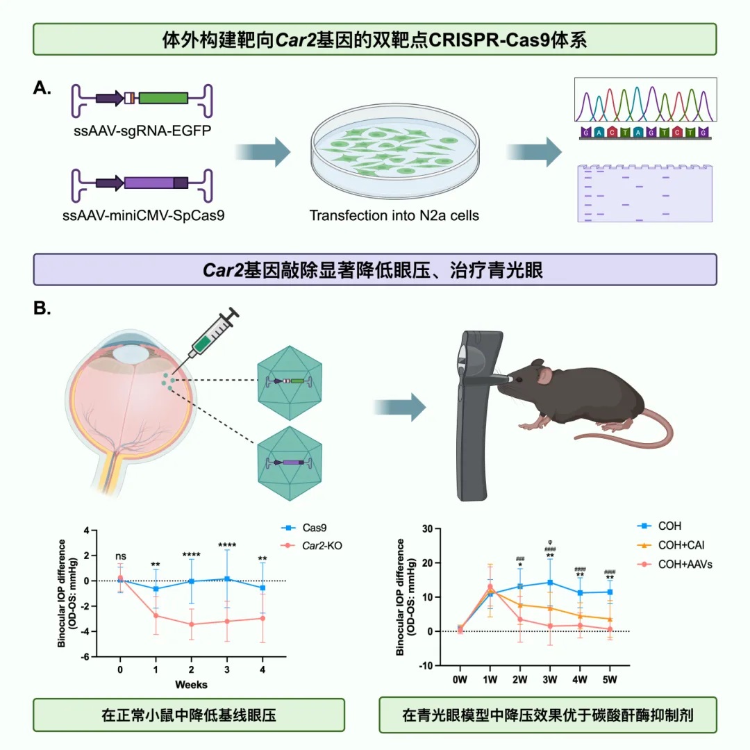 mg不朽情缘(中国区)官方网站