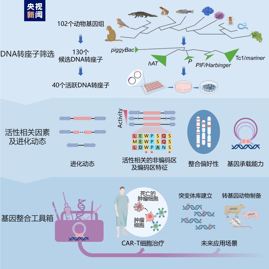 mg不朽情缘(中国区)官方网站