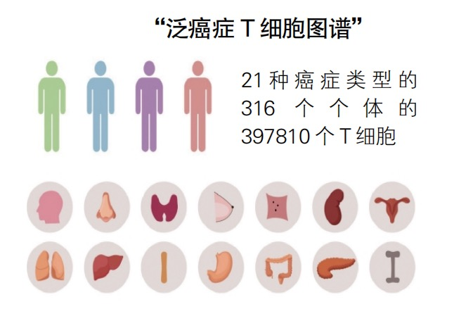 mg不朽情缘(中国区)官方网站