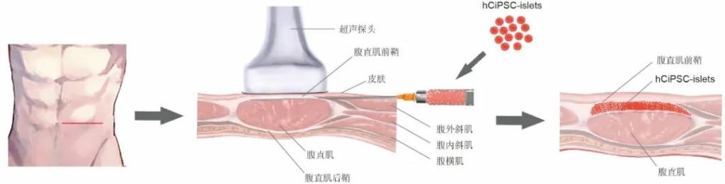 mg不朽情缘(中国区)官方网站