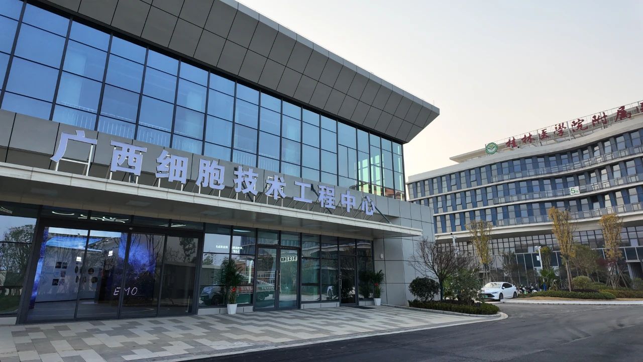 mg不朽情缘(中国区)官方网站