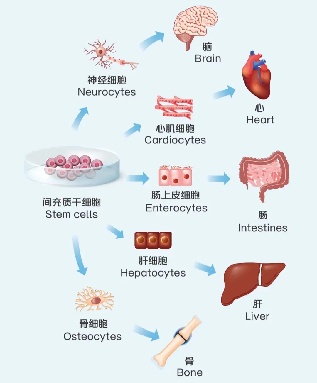 mg不朽情缘(中国区)官方网站
