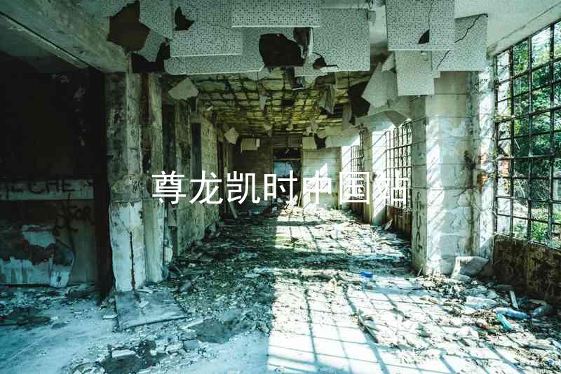 尊龙凯时中国站