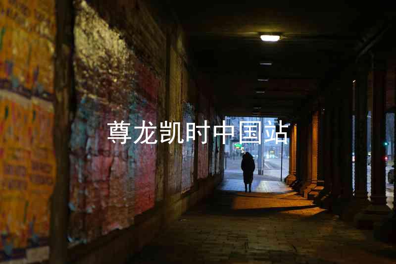 尊龙凯时中国站